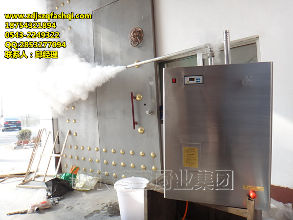 蒸房用移动式蒸汽发生器 蒸汽发生器 液化气蒸汽机